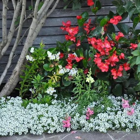 Haus Am Muehlbach 3*