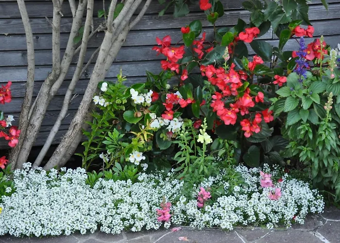 Haus Am Muehlbach 3*