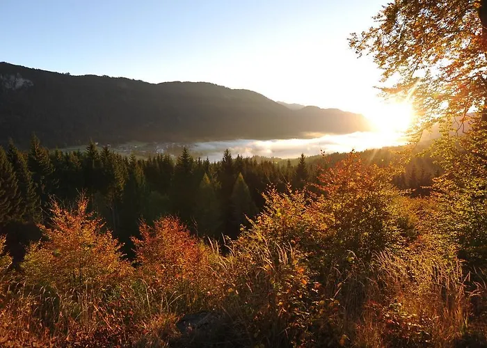 בית הארחה Haus Am Muehlbach